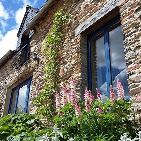 Vila Le Grenier, La Vieille Ferme Ruffiac  Exteriér fotografie