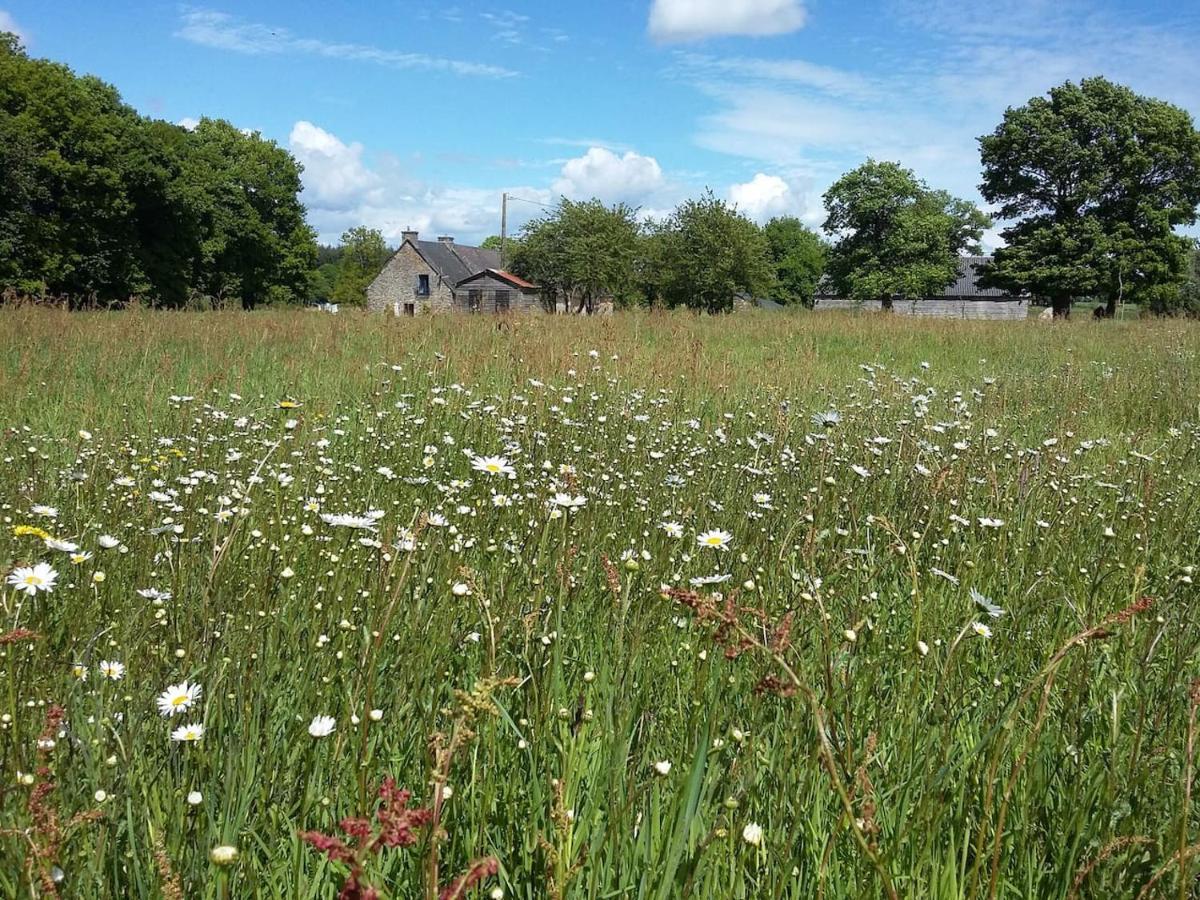 Vila Le Grenier, La Vieille Ferme Ruffiac  Exteriér fotografie